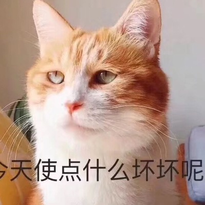 siqihui@mao.mastodonhub.com